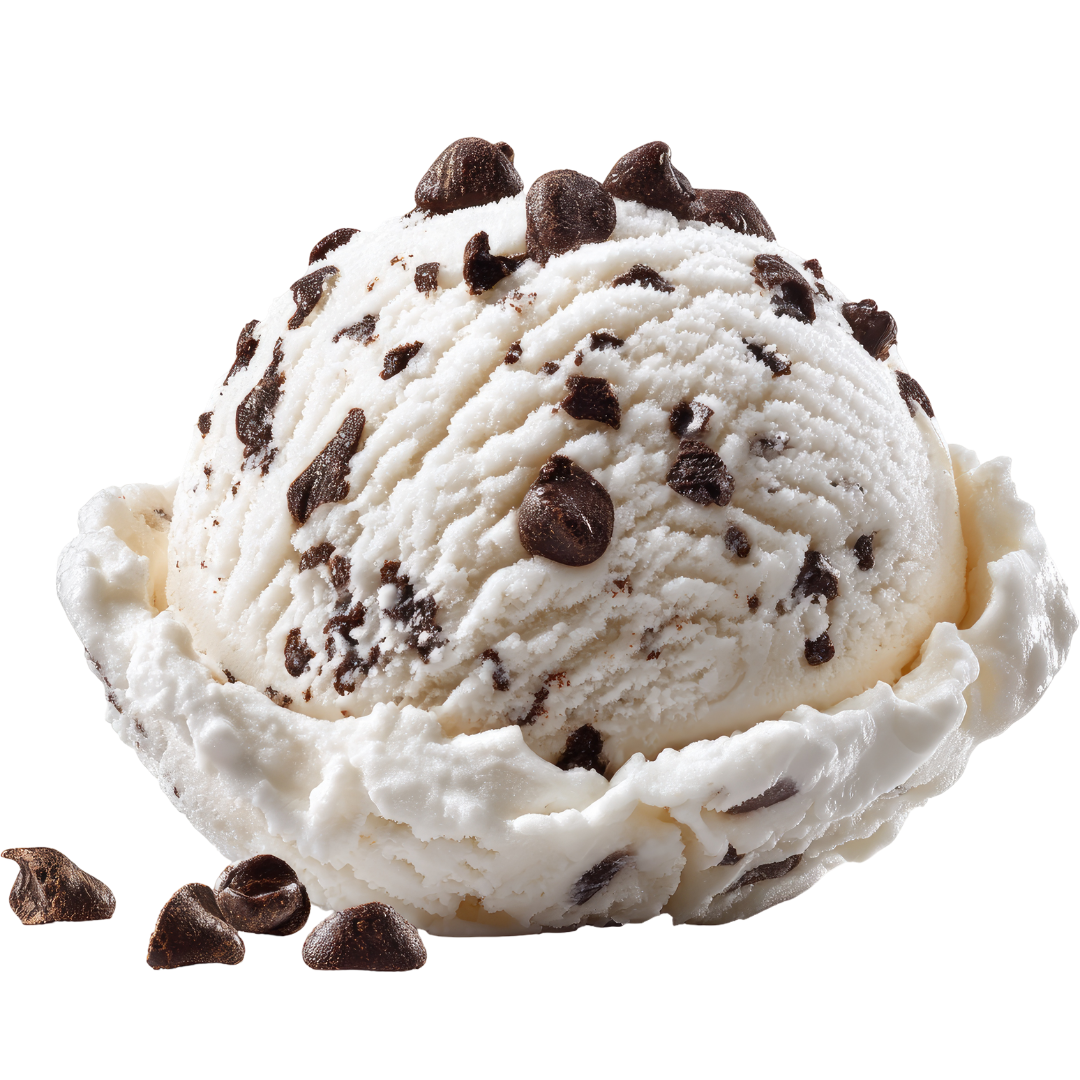 Chocolate chip Cookie Dough Ice Cream Dottie & Hazel's Bayside Scoops Alton Bay, NH