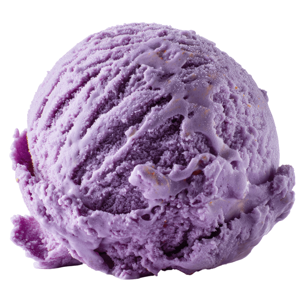 Black Raspberry Ice Cream Dottie & Hazel's Bayside Scoops Alton Bay, NH